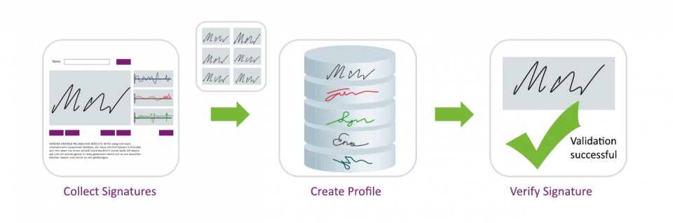 Signature biometrics - Signature Verification